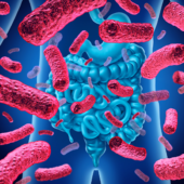 Gut bacteria and MS
